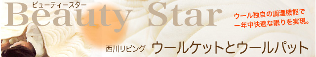 �ӥ塼�ƥ���������