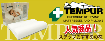 �ƥ�ԥ塼����