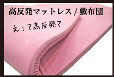 ���ӥ��ȿȯ�ޥåȥ쥹/������