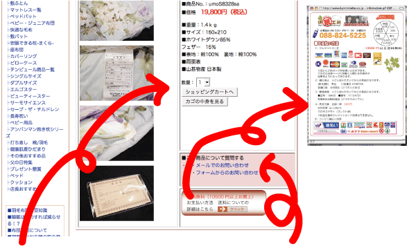 ホームページ内