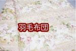 �H�ѕz�c