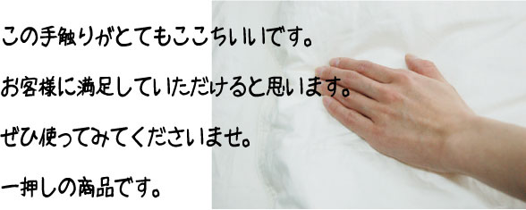 �������褤�꿨��Ǥ�