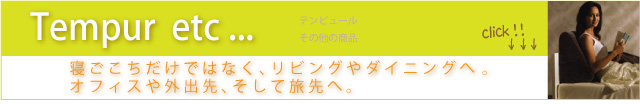 �ƥ�ԥ塼��etc