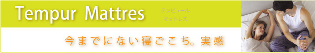 �ƥ�ԥ塼��ޥåȥ쥹