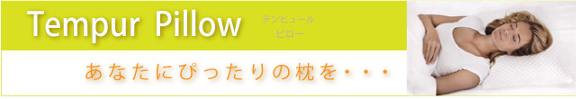 �ƥ�ԥ塼��ԥ���