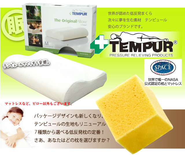 �ƥ�ԥ塼��
