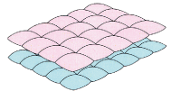 �t�H�[�V�[�Y���L���g