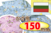 羽毛布団3点セット<18>