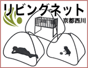 ��ӥ󥰥ͥå�