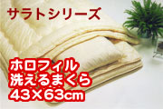 �ۥ��ե�����������43��63