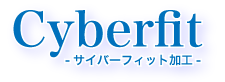 サイバーフィット