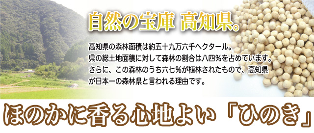 高知県は自然の宝庫です