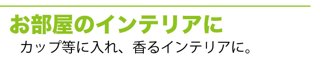 お部屋のインテリアに