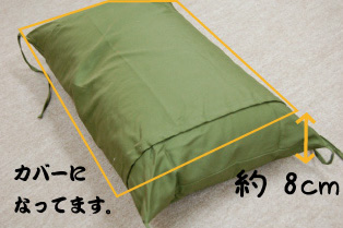 大きさ