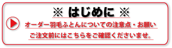 はじめに※注意点・お願い