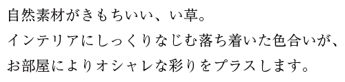 自然素材が気持ち良いい草