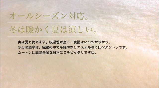 オールシーズン対応