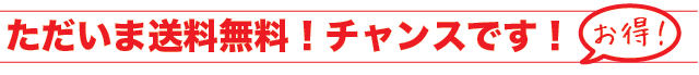 只今送料無料