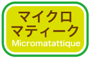 マイクロマティーク毛布