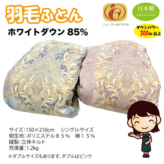 251009-01umo-saran